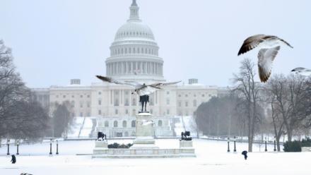 Le Capitole de Washington, siège du Congrès américain, le 25 janvier 2026