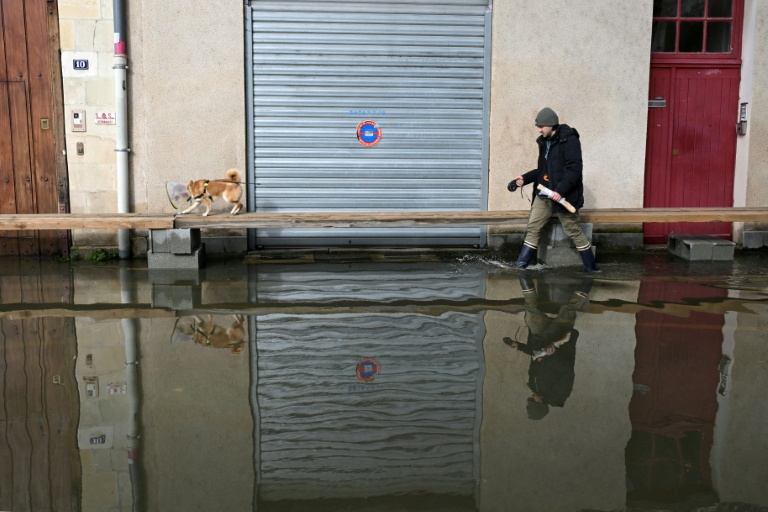 Un homme promène son chien dans une rue inondée d'Angers, le 20 février 2026 