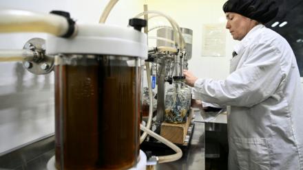 Production de whisky dans une distillerie à Drimnin, dans les Highlands, en Ecosse, le 3 février 2025. 