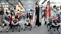 Des robots chiens de l'entreprise Vbot présentés au Salon mondial des robots à Pékin, le 19 août 2026