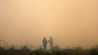 Des pompiers dans la fumée du mégafeu en Gironde, le 26 juillet 2026 à Arès