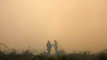 Des pompiers dans la fumée du mégafeu en Gironde, le 26 juillet 2026 à Arès