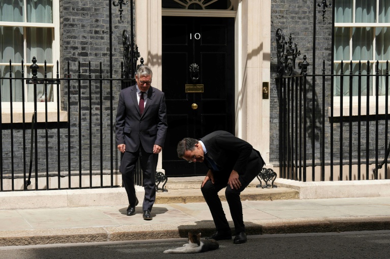 Le secrétaire général de l'Otan, Mark Rutte, interagit avec le chat Larry alors que le Premier ministre britannique, Keir Starmer, prend congé de lui après leur rencontre au 10 Downing Street, le 29 juin 2026 à Londres