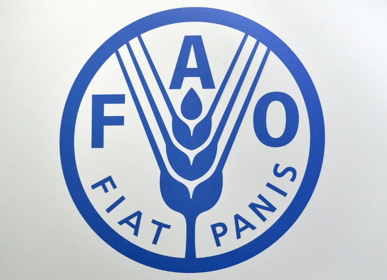 Logo de l'Organisation des Nations unies pour l'alimentation et l'agriculture, connue sous le nom de FAO (Food and Agriculture Organization of the United Nations) 