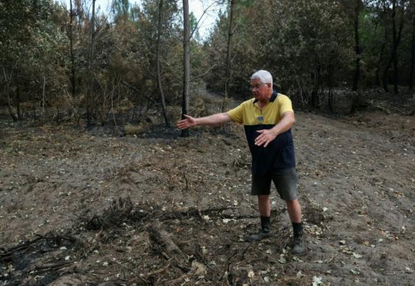 André Prouvoyeur montre le chemin d'où serait parti l'incendie, à Saumos, en Gironde, le 30 juillet 2026