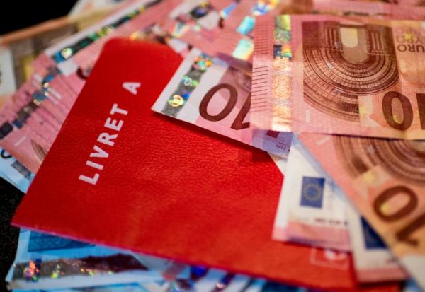 Les épargnants possédaient en novembre 161,8 milliards d'euros sur leur LDDS, 80,9 milliards d'euros sur leur LEP, réservé aux ménages ne dépassant un certain montant de revenus, et 438,9 milliards d'euros en Livret A, dont le taux d'intérêt, identique à celui du LDDS, est de 1,7% depuis août.