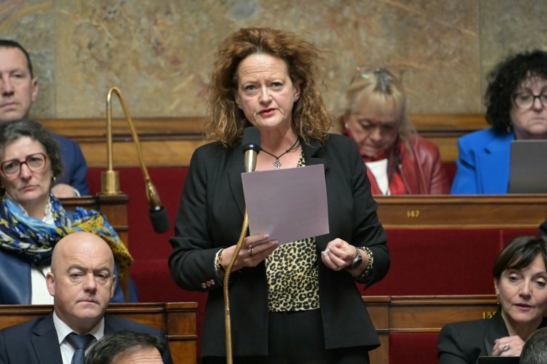 La députée Anne-Cécile Violland (Horizons) s'exprime à l'Assemblée nationale, à Paris, le 21 janvier 2025
