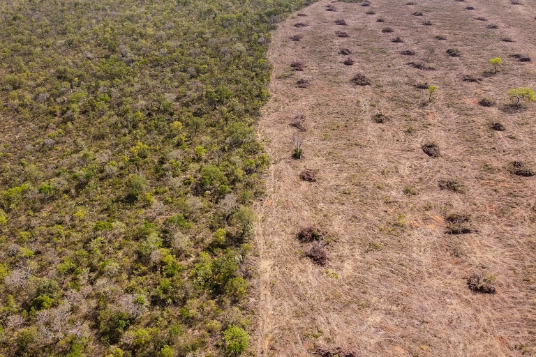 Vue aérienne de la déforestation dans le Cerrado, le 25 septembre 2023 dans l'Etat de Bahia, au Brésil