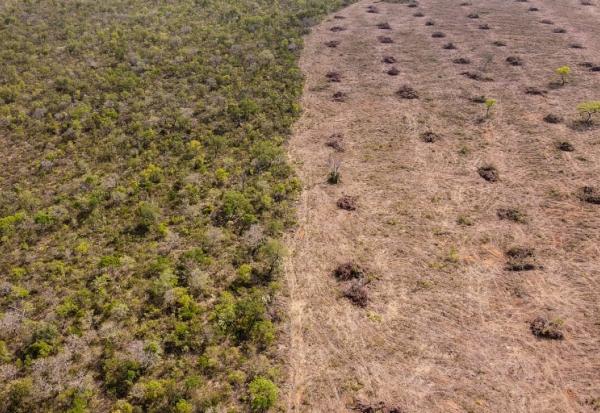 Vue aérienne de la déforestation dans le Cerrado, le 25 septembre 2023 dans l'Etat de Bahia, au Brésil