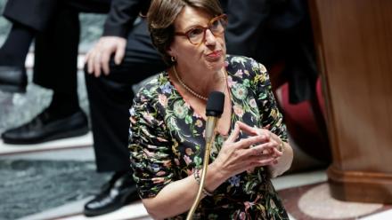 La ministre de l'Agriculture, Annie Genevard, lors de la séance des questions au gouvernement à l'Assemblée nationale, le 15 juillet 2026 à Paris