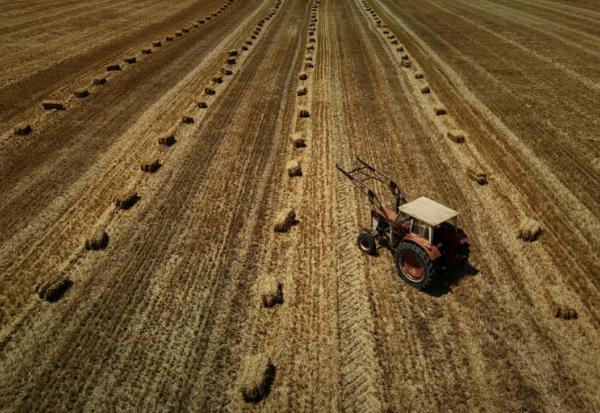Vue aérienne d'un tracteur dans un champ moissonné, parsemé de bottes de paille, après une récolte de céréales précoce en raison d'une vague de chaleur estivale, près de Ségalas, le 8 juillet 2026 dans le Lot-et-Garonne