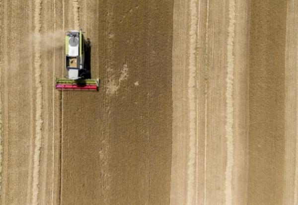 Alors que la France connaît une période de sécheresse exceptionnelle, députés et sénateurs se réunissent pour tenter d'aboutir à un compromis sur le projet de loi d'urgence agricole et ses mesures critiquées sur la gestion de l'eau et les pesticides