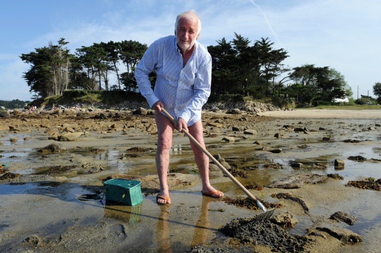 L'ancien directeur général d'Elf, Loïk Le Floch-Prigent, ramasse des coquillages sur la plage de Trébeurden (Côtes-d'Armor) le 20 août 2012