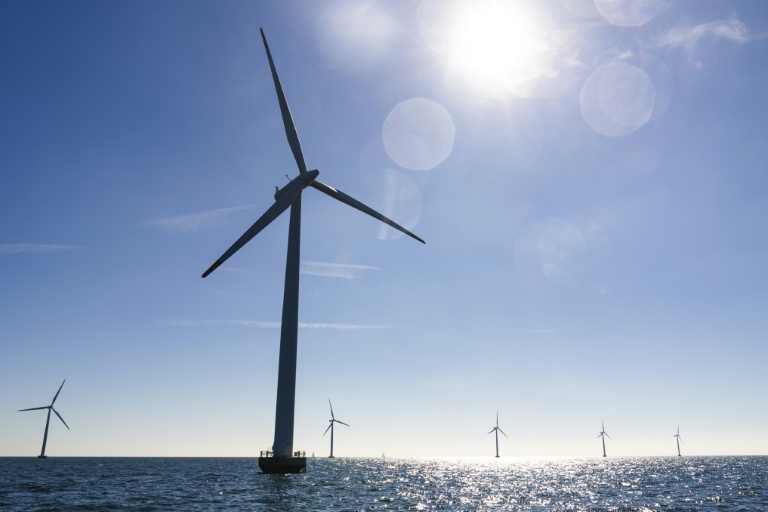 Des éoliennes installées en mer Baltique au Danemark, le 4 septembre 2023