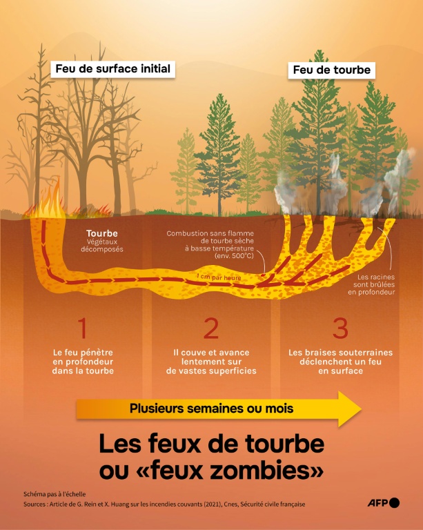 Les feux de tourbe ou 