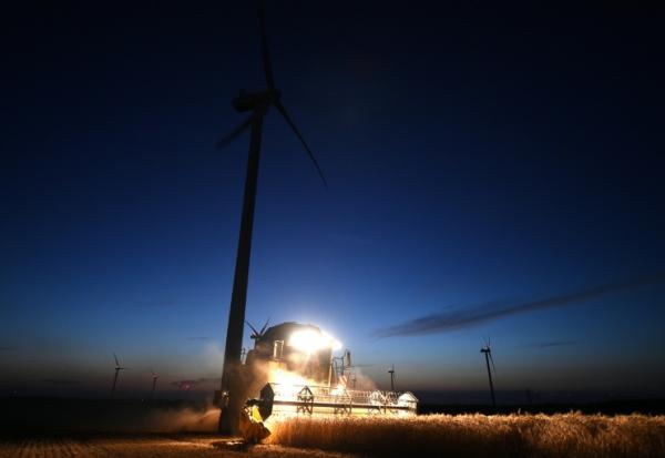 Pour ménager les corps et limiter les risques d'incendie, les agriculteurs moissonnent tôt le matin et le soir jusquà la nuit tombée
