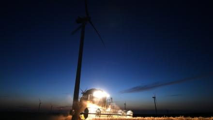 Pour ménager les corps et limiter les risques d'incendie, les agriculteurs moissonnent tôt le matin et le soir jusquà la nuit tombée