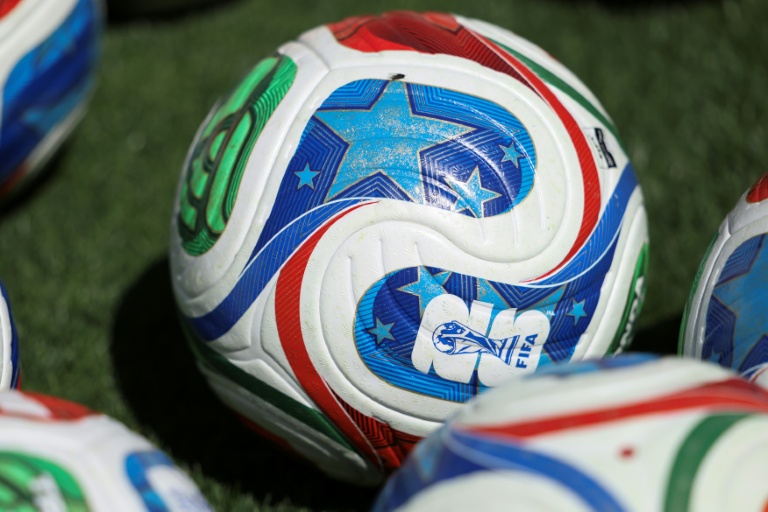 Les douanes françaises ont saisi près de 2.300 maillots contrefaits de la Coupe du monde de football à venir