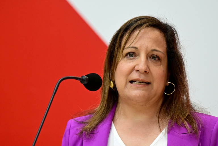 sociaux-démocrates au Parlement européen, le 8 avril 2024 à Berlin 