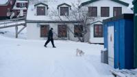 Une femme promène son chien dans le quartier du Vieux Nuuk, le 16 janvier 2026 à Nuuk, au Groenland