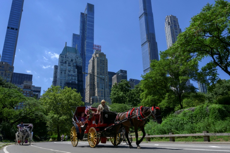 Ees calèches dans Central Park, à New York, le 3 août 2022