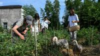 Chen Yani (d), fondatrice du lieu "L'Univers imaginaire de Keke", dans le potager du gîte rural avec des  participantes, le 14 juillet 2025 à Hangzhou, dans la province du Zhejiang, dans l'est de la Chine
