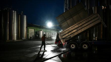Avant que l'aube ne pointe, un employé nettoie une remorque durant la période des vendanges sur une propriété viticole à Val-de-Livenne, en Gironde, le 6 septembre 2023