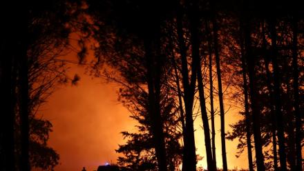 Un pompier observe un incendie de forêt qui fait rage près de Luglon, dans les Landes, le 13 août 2026