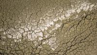 Le fond du lac des Brenets, frontière naturelle entre la France et la Suisse, le 11 août 2026