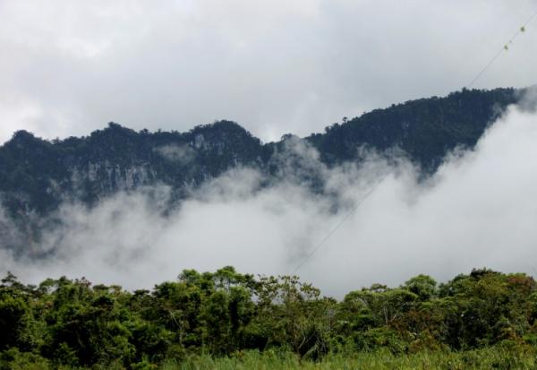 Des forêts en Papouasie-Nouvelle-Guinée, le 16 novembre 2021