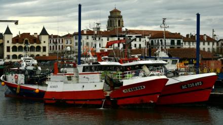 Des bateaux de pêche à Saint-Jean-de-Luz (Pyrénées-Atlantiques), le 22 janvier 2024