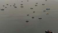Des bateaux de pêche à l'anchois immobilisés dans le port de Callao, au Pérou, le 31 août 2026