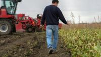 Un agriculteur compte ses plants de betteraves à sucre, à Pont-du-Château, dans le centre de la France, le 7 novembre 2019