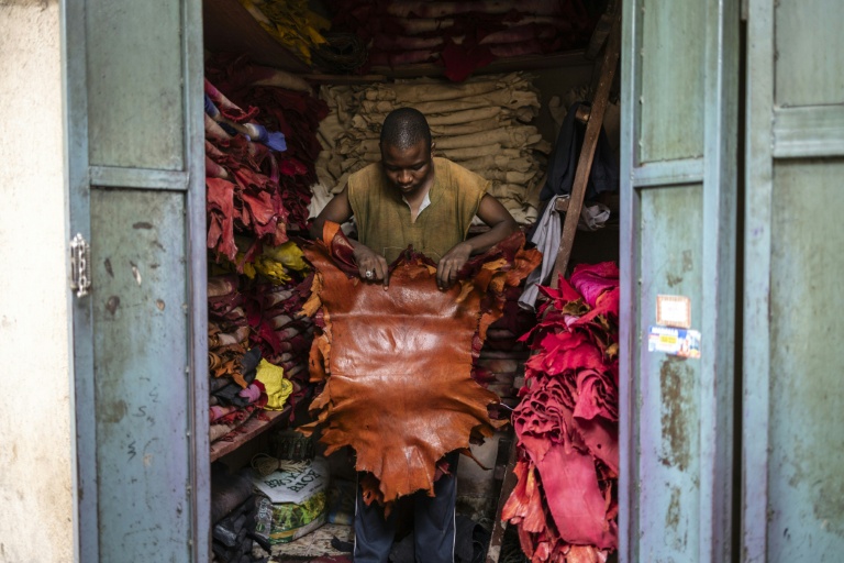 Un artisan du cuir déplie des morceaux de peaux teintes dans sa boutique du marché Kurmi à Kano, le 10 septembre 2025. Kano, centre historique du cuir, approvisionne des géants du luxe tels que Louis Vuitton, Gucci et Ralph Lauren, le Nigeria exportant près de 90 % de ses peaux à l'étranger. Mais comme la finition est effectuée en Europe, le label 