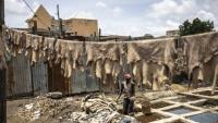 Un tanneur se tient debout dans un bassin alors qu'il traite des peaux brutes à la tannerie traditionnelle Majema, dans le quartier de Kofar Wambai à Kano, le 10 septembre 2025. Kano, centre historique du cuir, approvisionne des géants du luxe tels que Louis Vuitton, Gucci et Ralph Lauren, le Nigeria exportant près de 90 % de ses peaux à l'étranger. Mais comme la finition est effectuée en Europe, le label "Made in Nigeria" disparaît, remplacé par "Made in Italy" ou "Made in Spain". Aujourd'hui, certains créateurs nigérians tentent de redonner ses lettres de noblesse au cuir de leur pays en créant des marques locales.