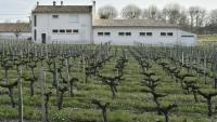 Une école élémentaire bâtie en bordure d'un vignoble, à Villeneuve (Gironde), le 23 mars 2016