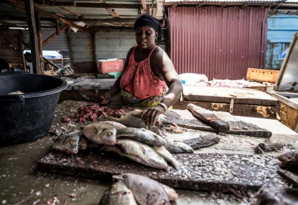 Sirah Darboe-Manneh, 31 ans, poissonnière et mère de six enfants, découpe du poisson sur un quai de débarquement à Tanji, en Gambie, le 12 septembre 2026, alors que les coupures d'électricité prolongées compliquent la conservation du poisson