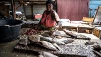Sirah Darboe-Manneh, 31 ans, poissonnière et mère de six enfants, découpe du poisson sur un quai de débarquement à Tanji, en Gambie, le 12 septembre 2026, alors que les coupures d'électricité prolongées compliquent la conservation du poisson