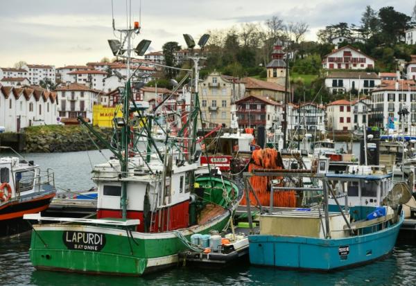 Le port de Saint-Jean-de-Luz à l'arrêt, le 22 janvier 2025, en raison de l'interdiction de presque toute la pêche commerciale (bateaux de 8 mètres ou plus) dans le golfe de Gascogne afin de protéger les dauphins