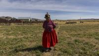 Dominga Quenta marche près de sa maison dans la communauté de Caritamaya, près du lac Titicaca, dans la région de Puno, au Pérou, le 30 mai 2026