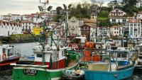 Le port de Saint-Jean-de-Luz à l'arrêt, le 22 janvier 2025, en raison de l'interdiction de presque toute la pêche commerciale (bateaux de 8 mètres ou plus) dans le golfe de Gascogne afin de protéger les dauphins
