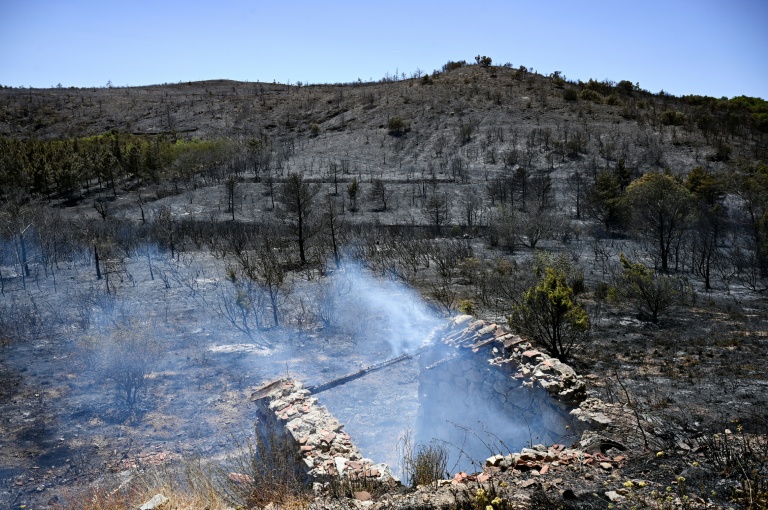 Un paysage brûlé après un incendie de forêt près de Trévillach, le 5 juillet 2026