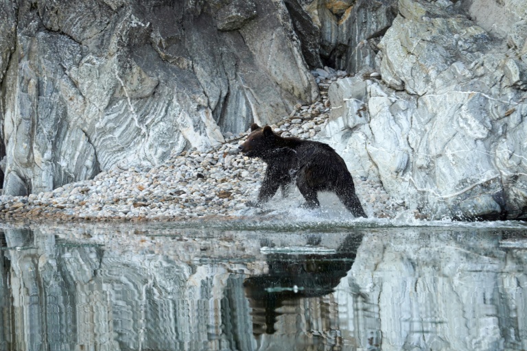 Photo prise en avril 2026 et diffusée par le parc national 