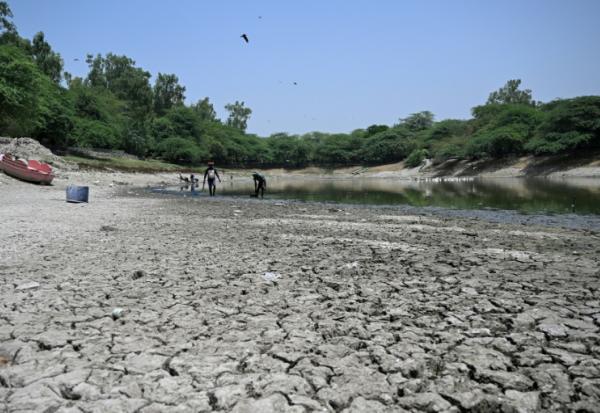 Des personnes ramassent des poissons morts dans un lac partiellement asséché lors d'une vague de chaleur à New Delhi, le 22 mai 2026
