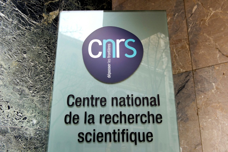 La France est en tête du palmarès européen en terme de nombre de brevets déposés par des organismes de recherche publique, avec le CNRS, le CEA et l'Inserm parmi les institutions les plus innovantes