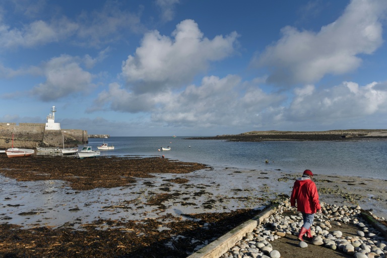 Des bateaux à marée basse dans le port de l'île de Molène, le 3 février 2026