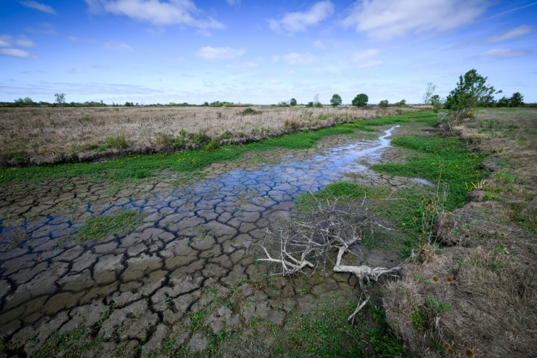 Le lit d'un cours d'eau presque à sec à Machecoul, en Loire-Atlantique, le 3 septembre 2026