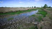 Le lit d'un cours d'eau presque à sec à Machecoul, en Loire-Atlantique, le 3 septembre 2026