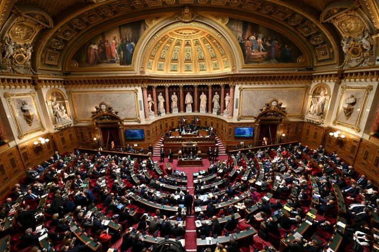 Vue montrant le Sénat français en séance, le 2 avril 2024 à Paris