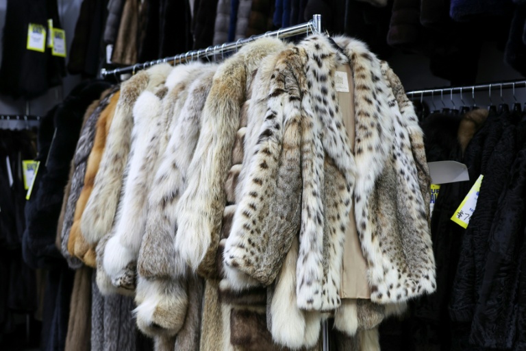 Des manteaux de fourrure proposés à la vente dans le magasin Madison Avenue Furs à New York, le 10 mars 2026